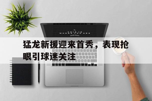猛龙新援迎来首秀，表现抢眼引球迷关注